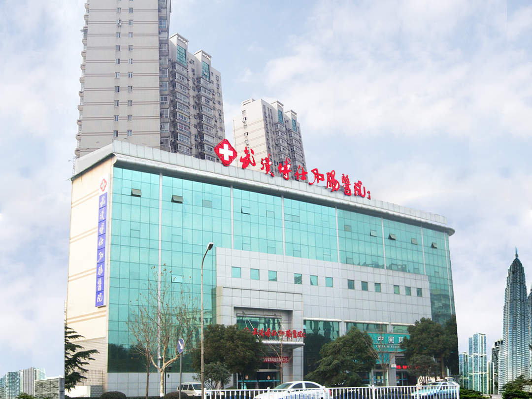 武汉博仕肛肠医院